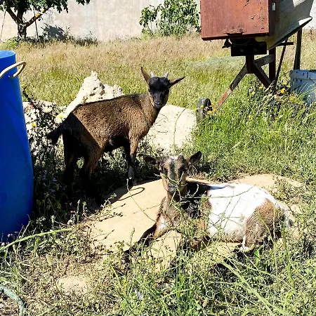 Sao Cristovao Setubal